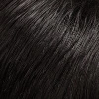 Accessories_Jon Renau_Wigs Classy Clip-On Ponytail by Jon Renau - Final Sale - No Refunds or Exchanges