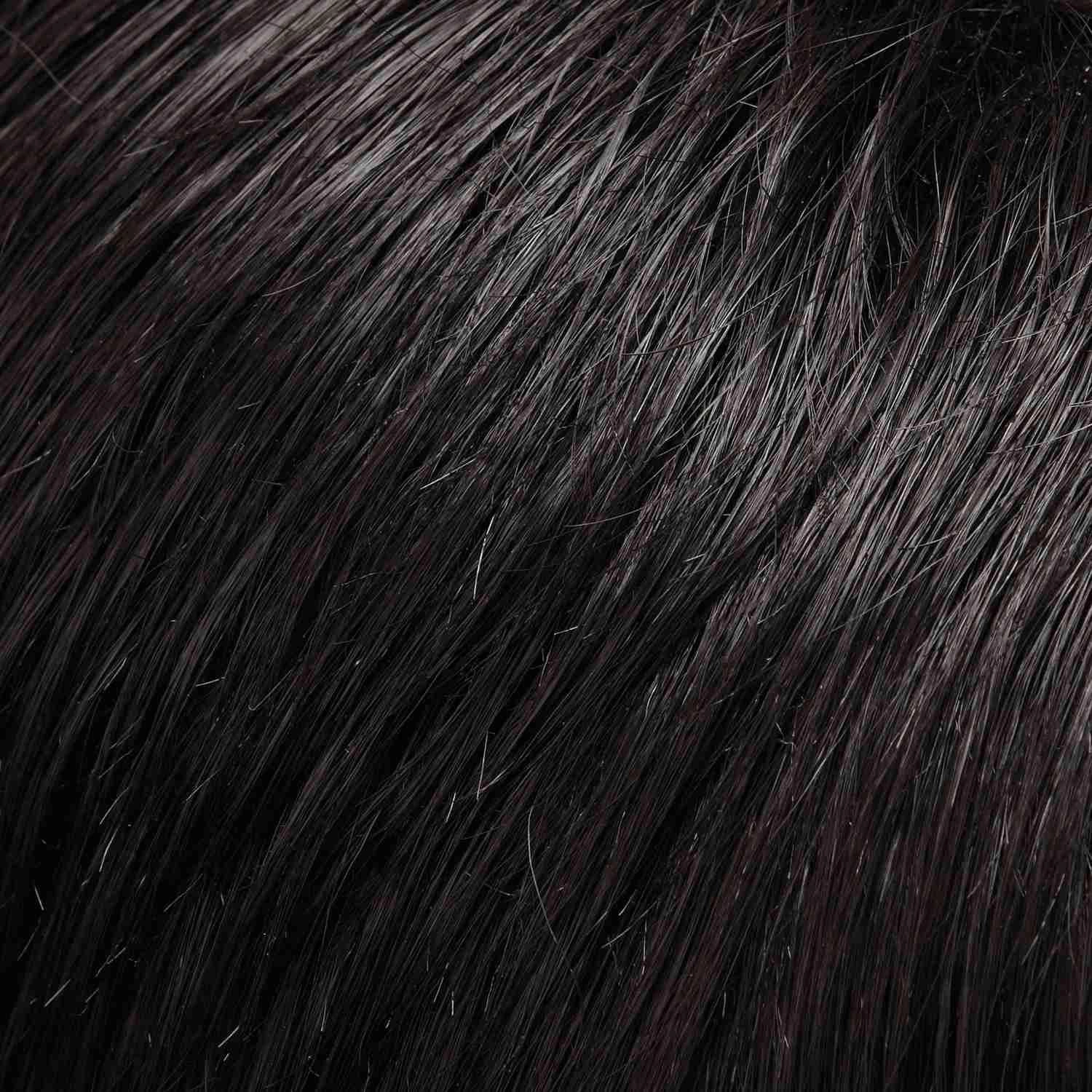 Accessories_Jon Renau_Wigs easiPony 20&quot; by Jon Renau | 100% Human Hair Extension (Clip In)