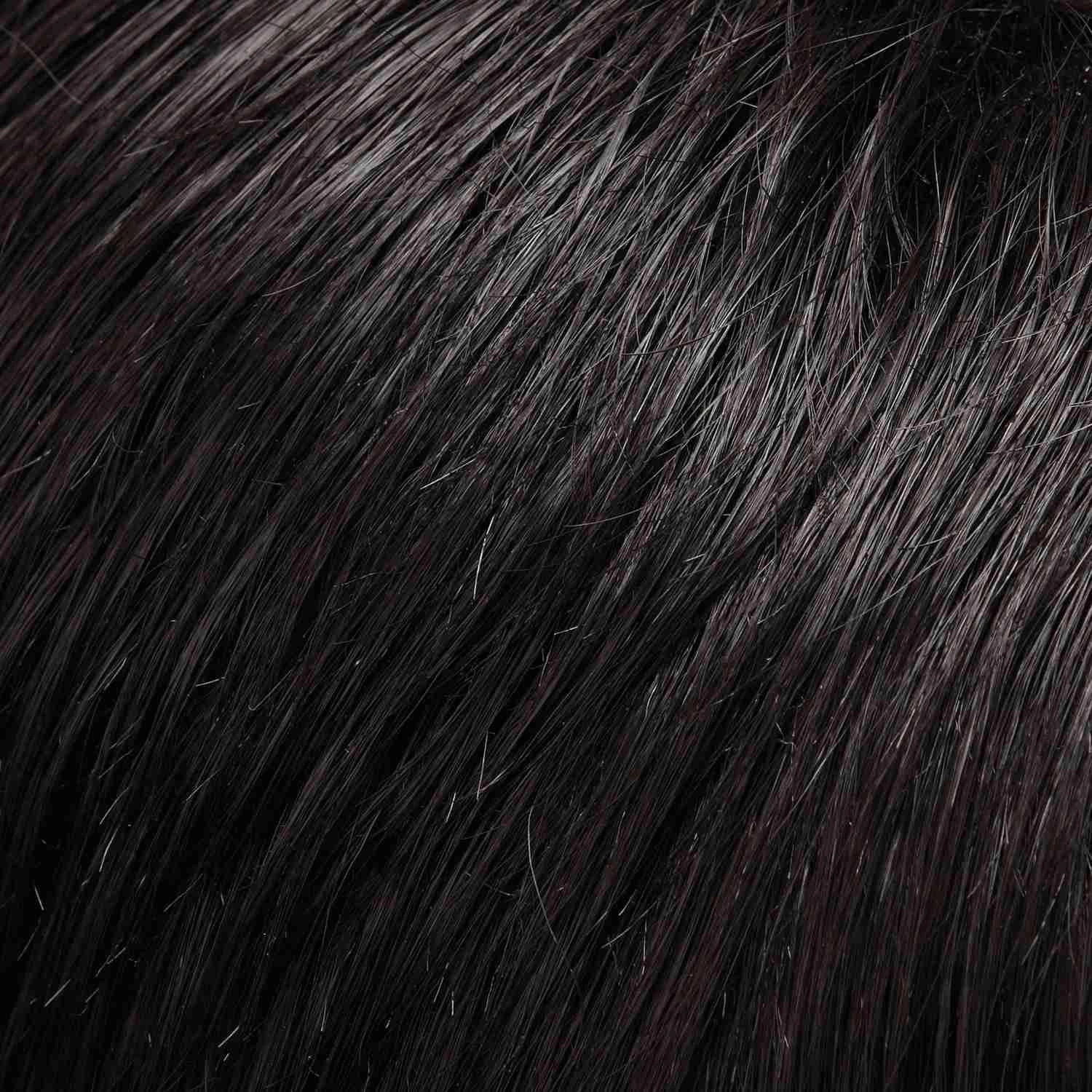 Accessories_Jon Renau_Wigs easiPony 20&quot; by Jon Renau | 100% Human Hair Extension (Clip In)