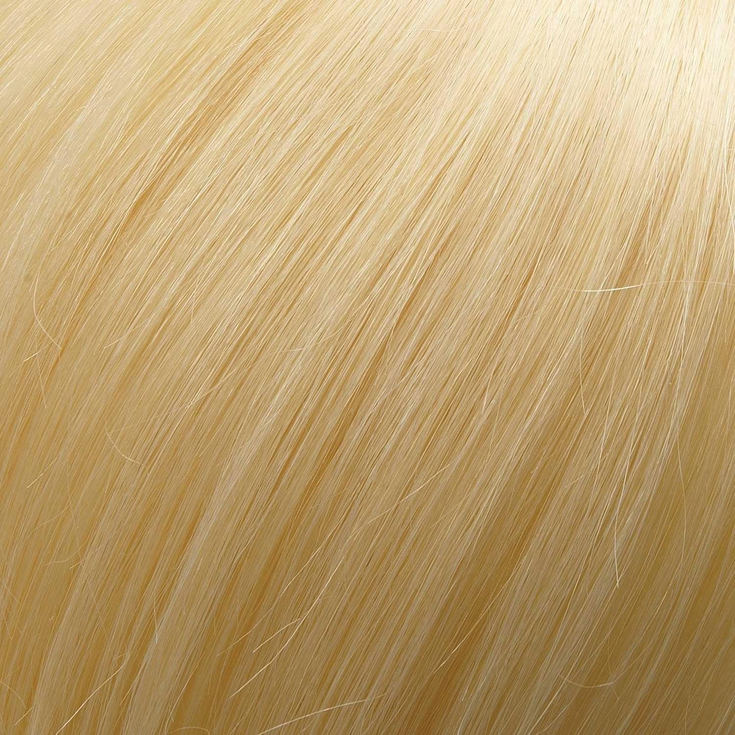 Accessories_Jon Renau_Wigs Top Style 12&quot; Human Hair Addition (Renau Colors) by Jon Renau | 100% Remy Human Hair Piece (Monofilament Base)