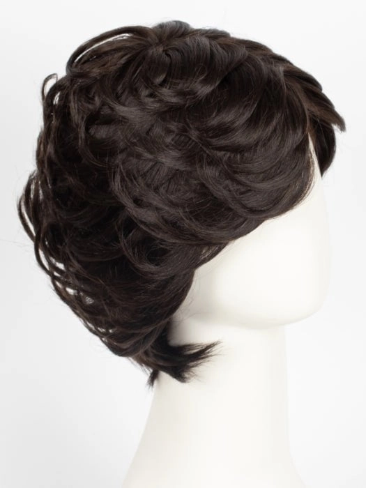 Accessories_Raquel Welch_Wigs Applause | Human Hair Lace Front Wig (Hand-Tied)