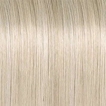 Accessories_Raquel Welch_Wigs Big Spender