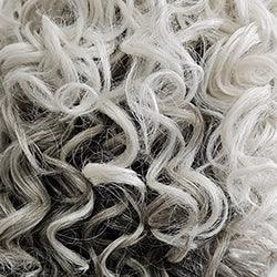 Accessories_Raquel Welch_Wigs Big Spender Wig by Raquel Welch | Synthetic Lace Front