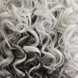 Accessories_Raquel Welch_Wigs Born To Shine Wig by Raquel Welch | Synthetic Lace Front
