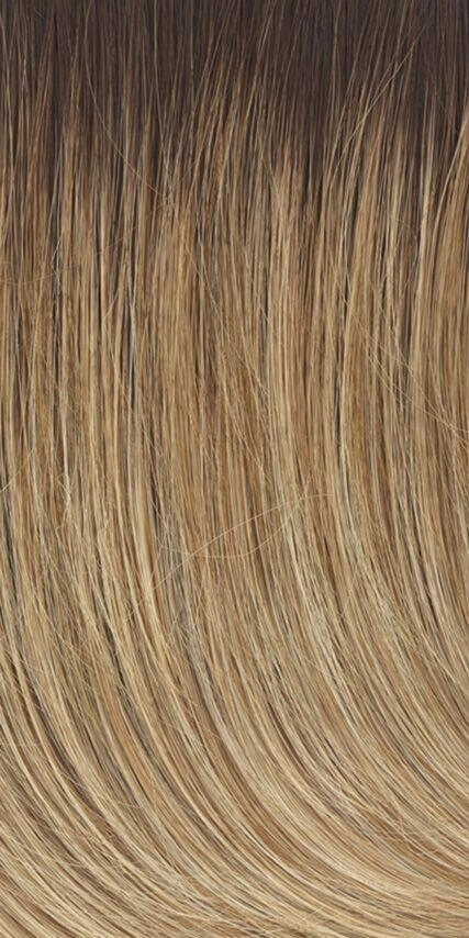 Accessories_Raquel Welch_Wigs Captivating Canvas Wig by Raquel Welch | Synthetic Lace Front (Basic Cap)