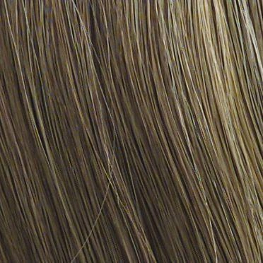 Accessories_Raquel Welch_Wigs Chameleon Hair Addition by Raquel Welch | Synthetic