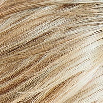 Accessories_Raquel Welch_Wigs Curve Appeal