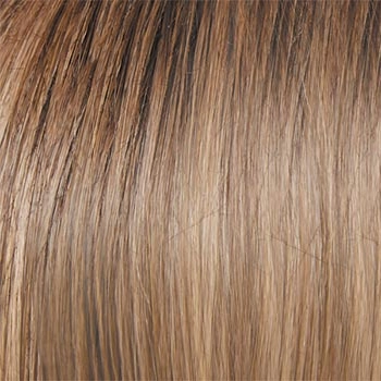 Accessories_Raquel Welch_Wigs Editors Pick Elite