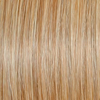 Accessories_Raquel Welch_Wigs Editors Pick Elite