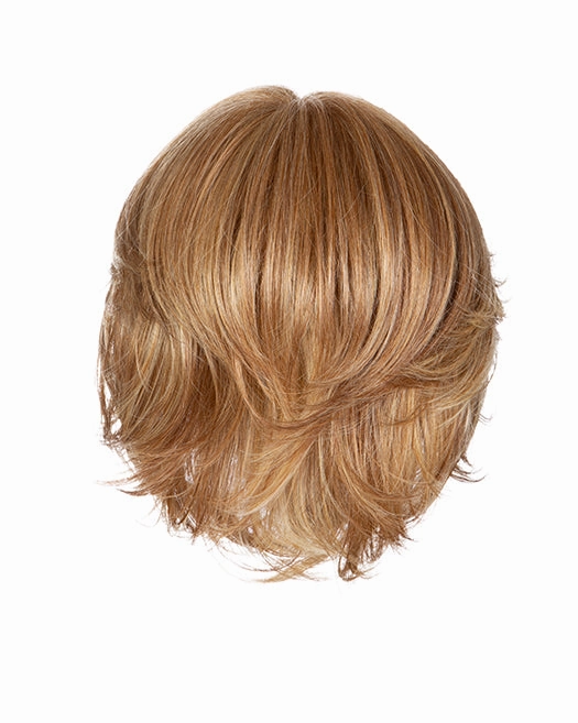 Accessories_Raquel Welch_Wigs Flash Forward