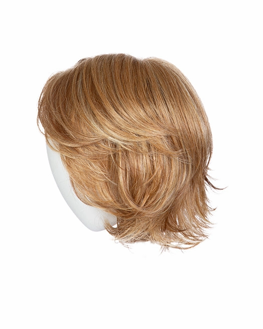 Accessories_Raquel Welch_Wigs Flash Forward