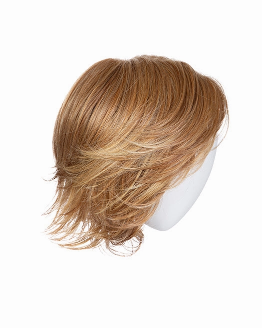 Accessories_Raquel Welch_Wigs Flash Forward