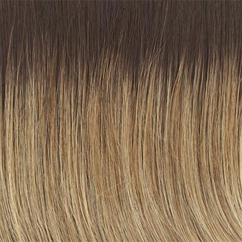 Accessories_Raquel Welch_Wigs Go To Style