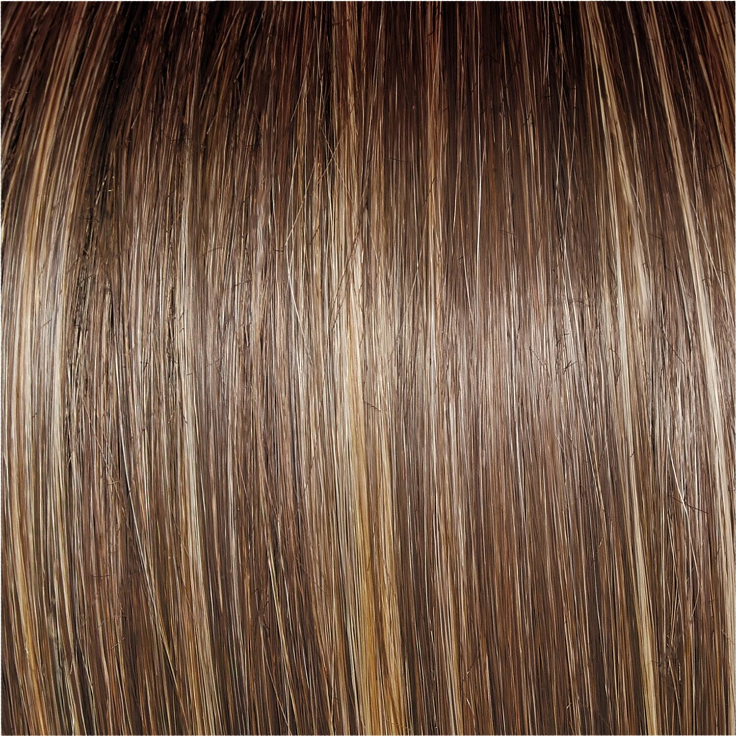 Accessories_Raquel Welch_Wigs Go To Style Wig by Raquel Welch