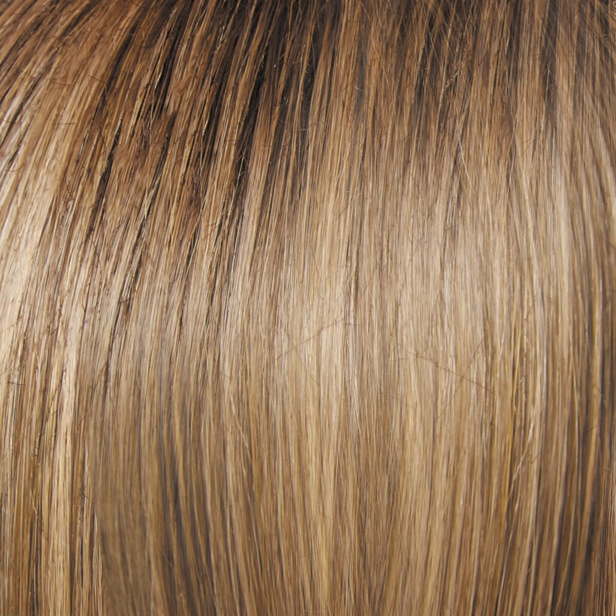 Accessories_Raquel Welch_Wigs Go To Style Wig by Raquel Welch