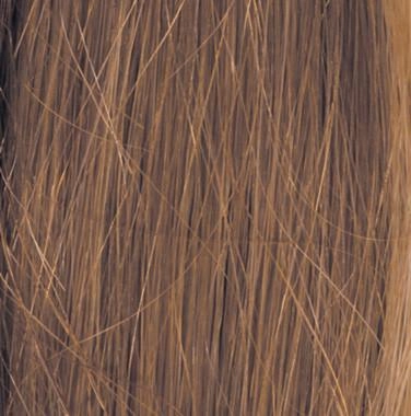 Accessories_Raquel Welch_Wigs Grand Entrance Wig by Raquel Welch | Human Hair (Lace Front Mono Top)