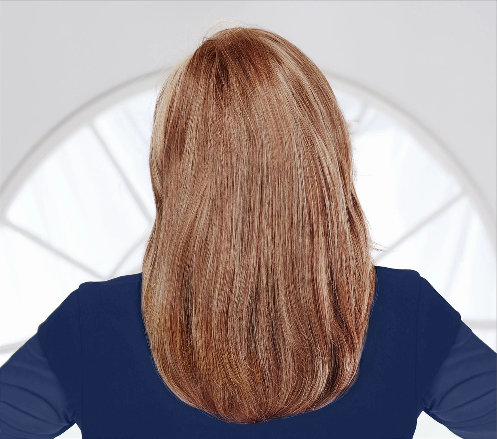 Accessories_Raquel Welch_Wigs High Fashion Human Hair Wig by Raquel Welch