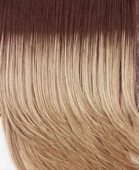 Accessories_Raquel Welch_Wigs High Fashion Human Hair Wig by Raquel Welch