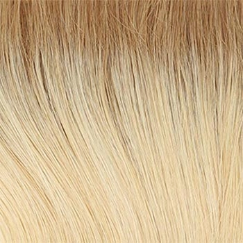 Accessories_Raquel Welch_Wigs High Fashion