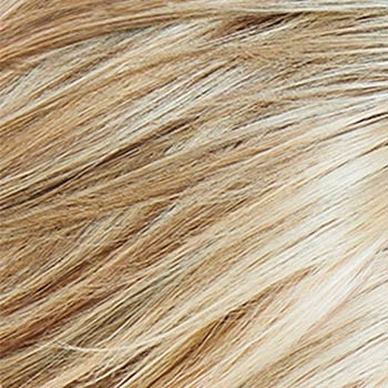 Accessories_Raquel Welch_Wigs Model Mode