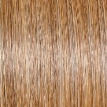 Accessories_Raquel Welch_Wigs Model Mode