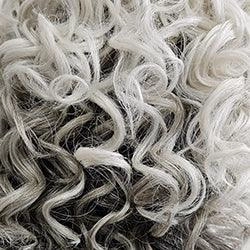 Accessories_Raquel Welch_Wigs On The Cover Wig by Raquel Welch | Heat Friendly Synthetic (Lace Front Mono)