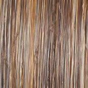 Accessories_Raquel Welch_Wigs On The Cover Wig by Raquel Welch | Heat Friendly Synthetic (Lace Front Mono)