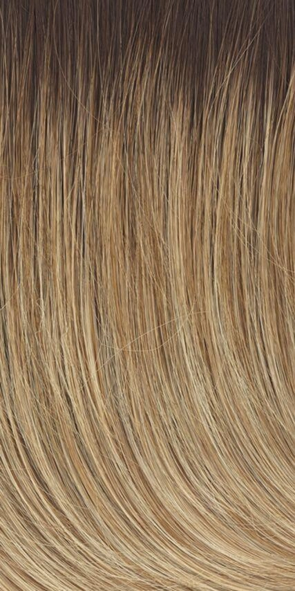 Accessories_Raquel Welch_Wigs On The Cover Wig by Raquel Welch | Heat Friendly Synthetic (Lace Front Mono)