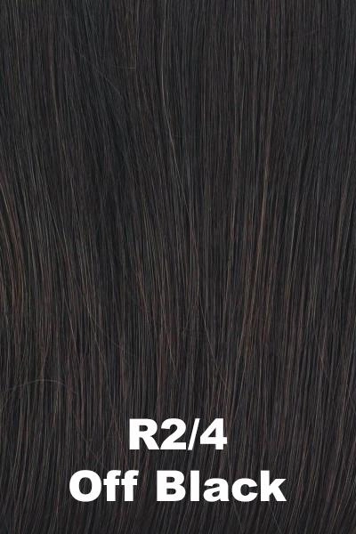 Accessories_Raquel Welch_Wigs Raquel Welch Wigs - Big Time