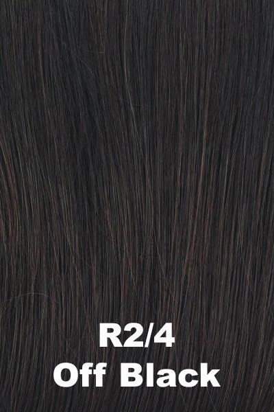 Accessories_Raquel Welch_Wigs Raquel Welch Wigs - In Charge