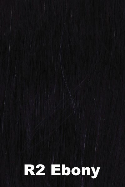 Accessories_Raquel Welch_Wigs Raquel Welch Wigs - Trend Setter Elite