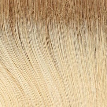 Accessories_Raquel Welch_Wigs Savoir Faire