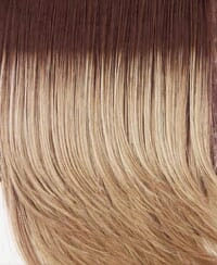 Accessories_Raquel Welch_Wigs Sonata Hair Addition by Raquel Welch
