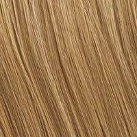 Accessories_Raquel Welch_Wigs Sonata Hair Addition by Raquel Welch