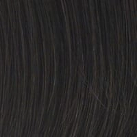 Accessories_Raquel Welch_Wigs Sonata Hair Addition by Raquel Welch