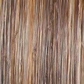 Accessories_Raquel Welch_Wigs Spotlight Wig by Raquel Welch | Heat Friendly Synthetic Large (Lace Front Mono Top)