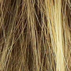 Accessories_Raquel Welch_Wigs Star Quality Wig by Raquel Welch | Synthetic (Lace Front Mono Part)