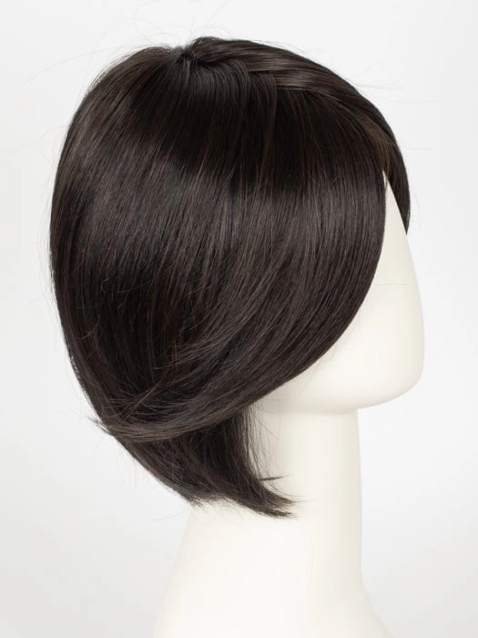 Accessories_Raquel Welch_Wigs Straight Up With a Twist | HF Synthetic Lace Front Wig (Mono Top)