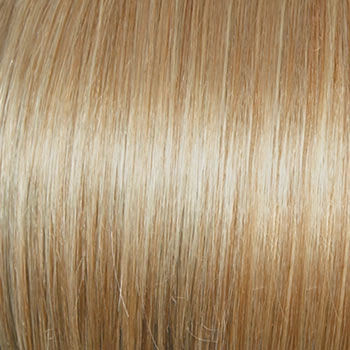 Accessories_Raquel Welch_Wigs Success Story
