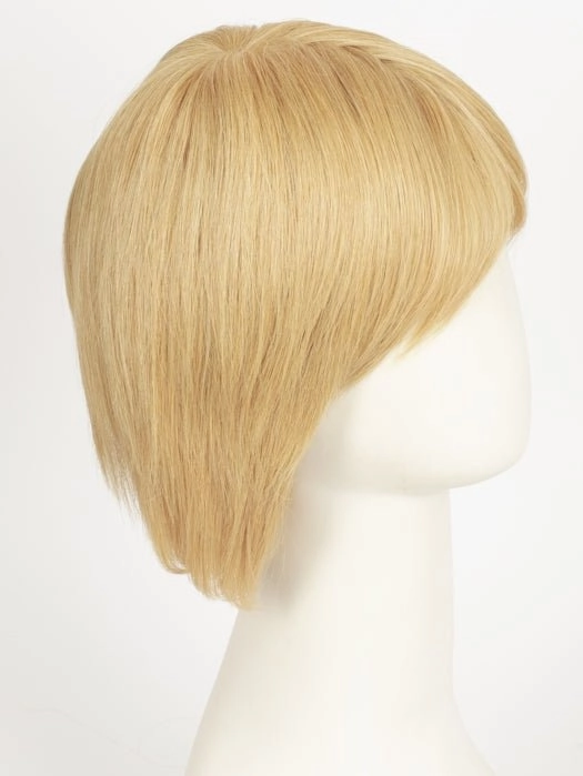 Accessories_Raquel Welch_Wigs Success Story | 100% Human Hair Wig (Mono Top)
