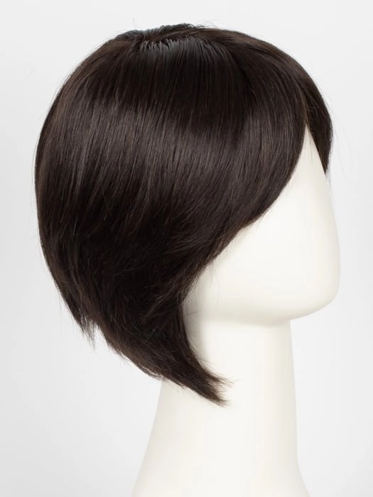 Accessories_Raquel Welch_Wigs Success Story | 100% Human Hair Wig (Mono Top)