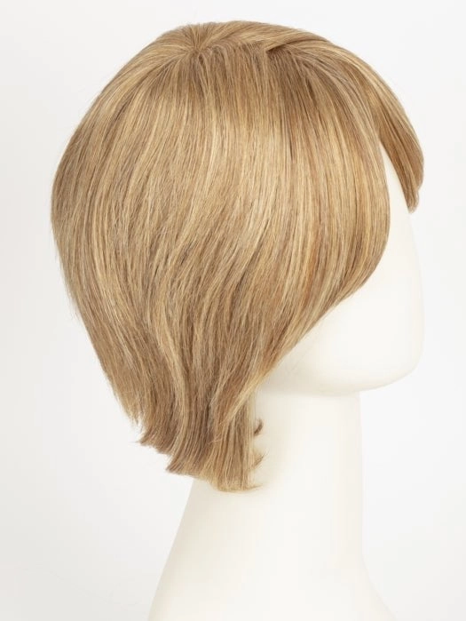 Accessories_Raquel Welch_Wigs Success Story | 100% Human Hair Wig (Mono Top)