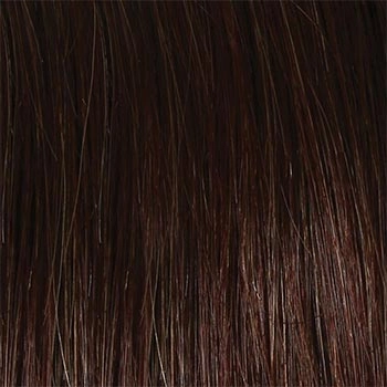 Accessories_Raquel Welch_Wigs Success Story