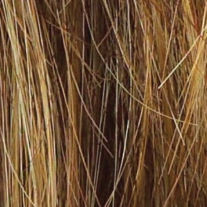Accessories_Raquel Welch_Wigs Trend Setter Large Wig by Raquel Welch