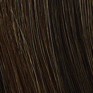 Accessories_Raquel Welch_Wigs Trend Setter Large Wig by Raquel Welch