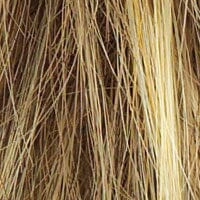 Accessories_Raquel Welch_Wigs Trend Setter Large Wig by Raquel Welch