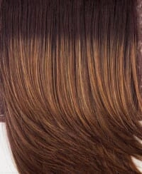 Accessories_Raquel Welch_Wigs Trend Setter Large Wig by Raquel Welch