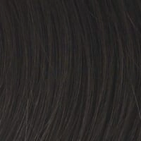 Accessories_Raquel Welch_Wigs Trend Setter Large Wig by Raquel Welch