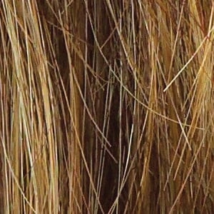 Accessories_Raquel Welch_Wigs Voltage Petite by Raquel Welch