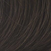 Accessories_Raquel Welch_Wigs Voltage Petite by Raquel Welch